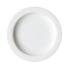 Load image into Gallery viewer, white inner lip plate close up
