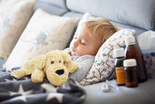 Load image into Gallery viewer, SOOTHING PAL DOG IN USE