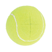 Load image into Gallery viewer, Tennis Ball Sliders