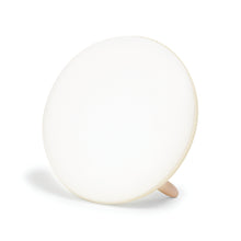 Load image into Gallery viewer, Jumbo Therapy Light Main Image