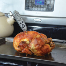 Load image into Gallery viewer, DT131 Waterproof Pocket Thermometer inserted in a cooked chicken