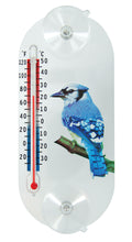 Charger l'image dans la galerie, TR395 Suction Cup Thermometer with Blue Jay
