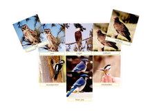 Load image into Gallery viewer, Match the photos - Bird cards with words
