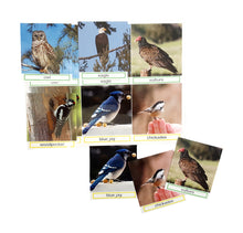 Load image into Gallery viewer, Match the Photos, Bird Groups
