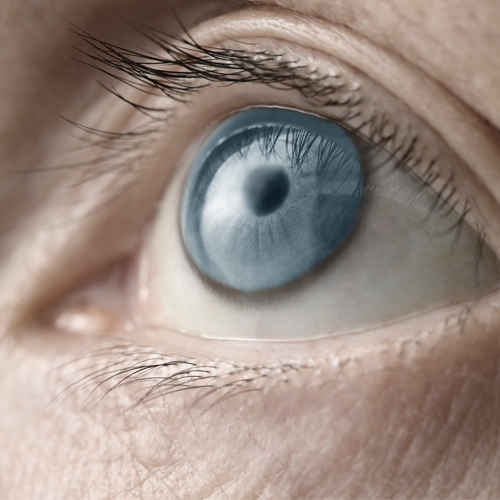 Vision Aids