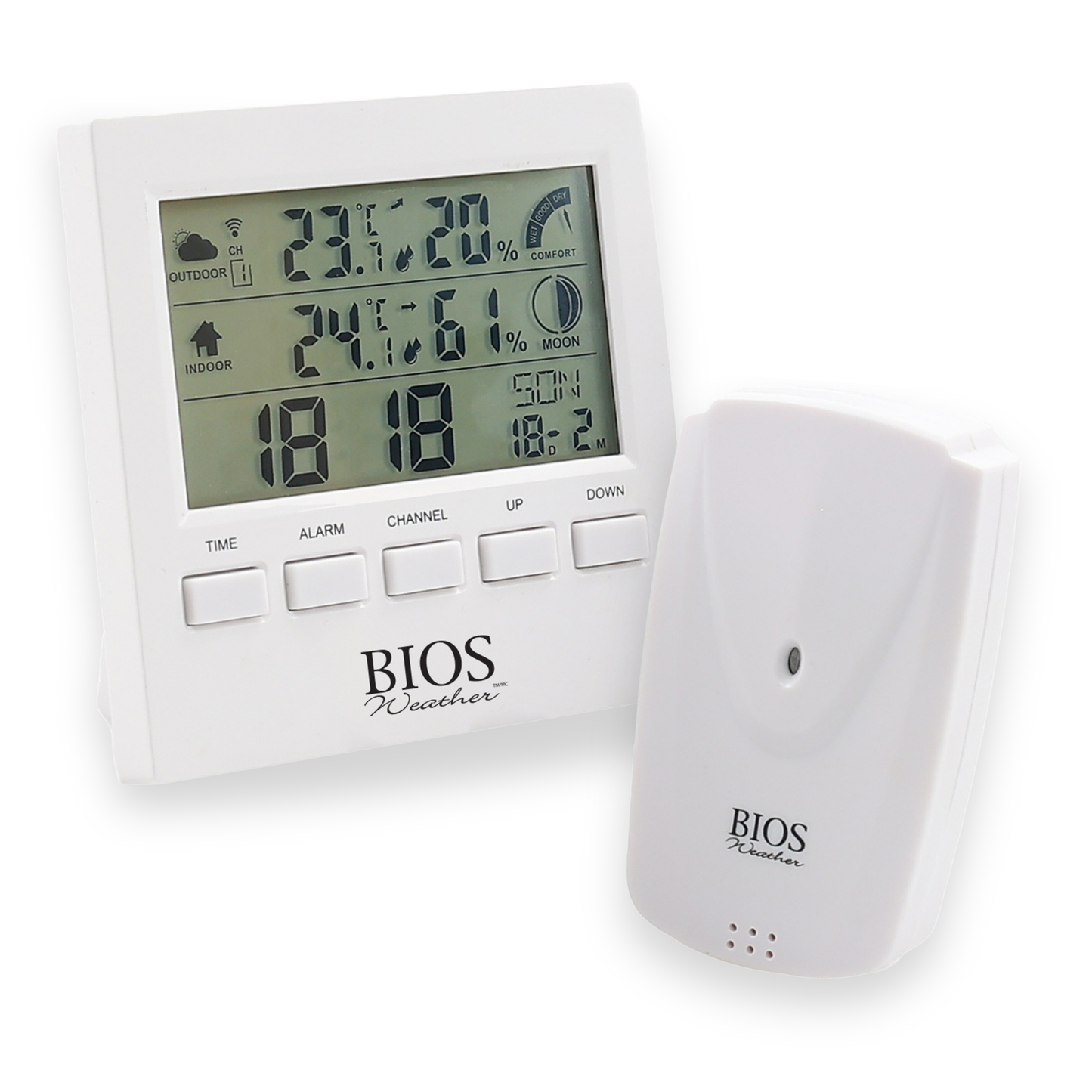 Desktop Indoor/ Outdoor Thermometer