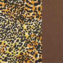 Charger l'image dans la galerie, Wheelie® Expressions
