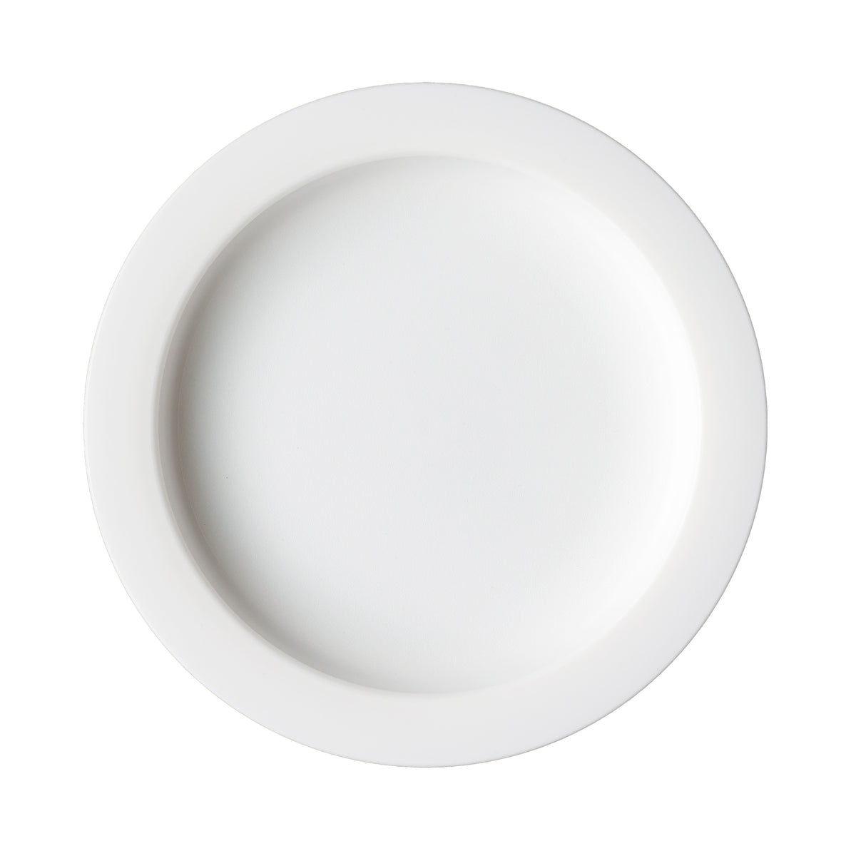 white inner lip plate close up