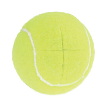 Load image into Gallery viewer, Tennis Ball Sliders

