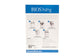 56120 BIOS Living 5-in-1 Mobility & Bathroom Aid Back of Retail Package
