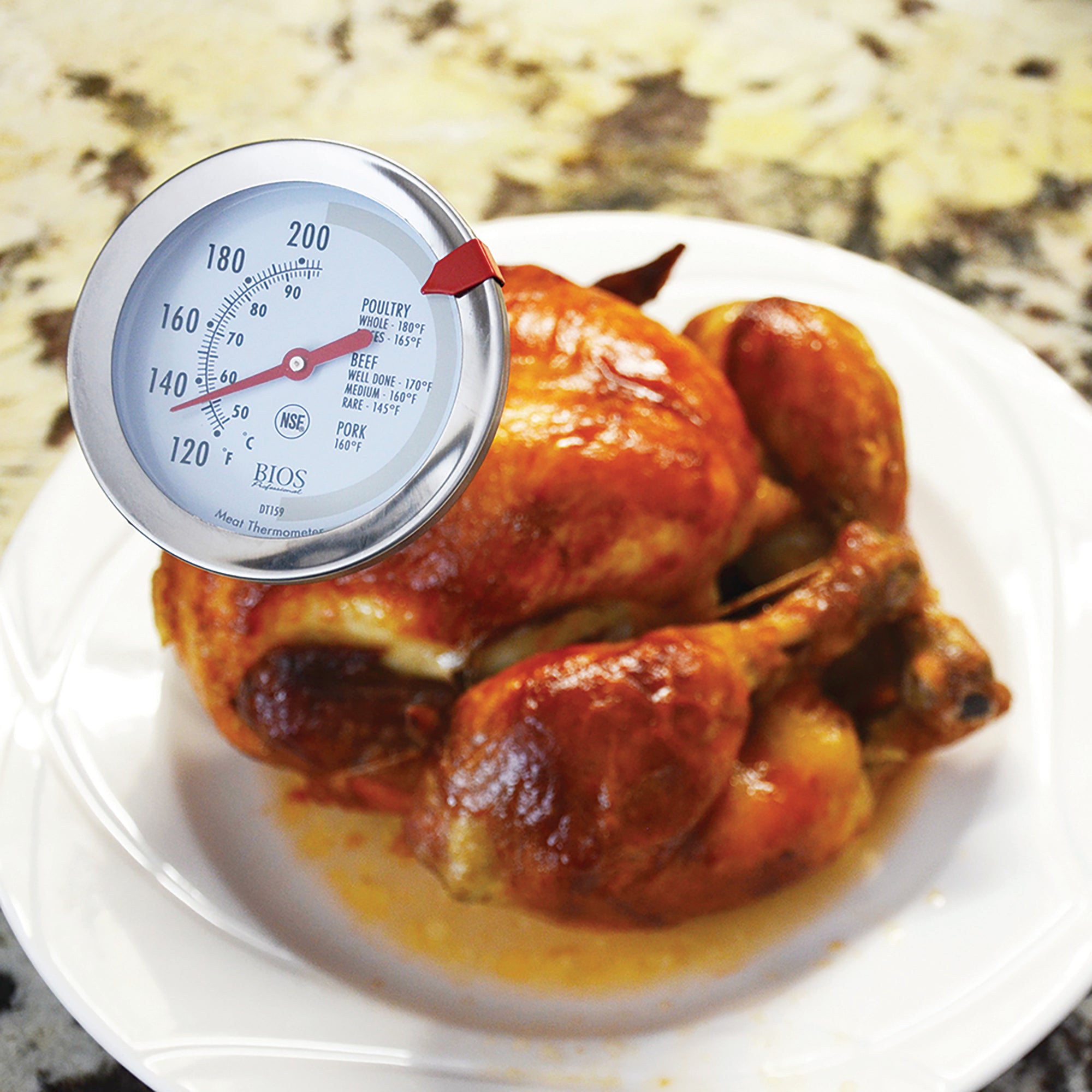 Load image into Gallery viewer, DT159 Dial Meat & Poultry Thermometer ...