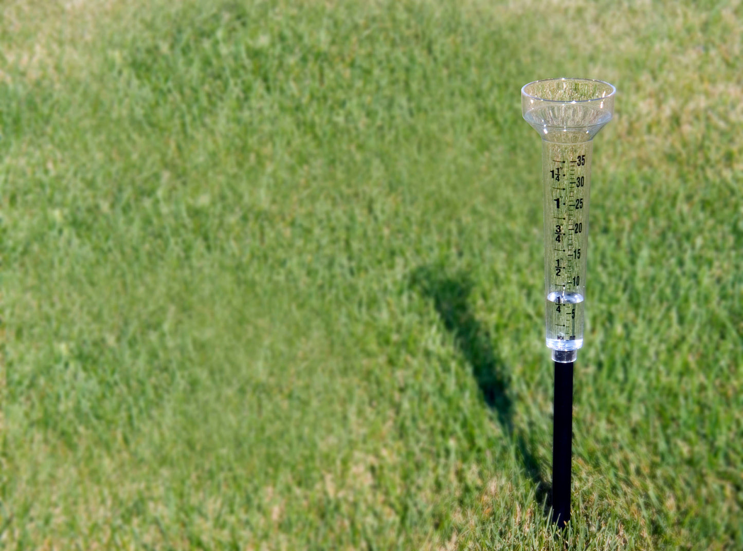 Rain Gauge in use